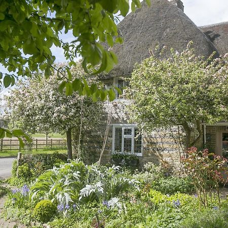 Tudor Cottage B&B Frampton ดอร์เชสเตอร์ ภายนอก รูปภาพ