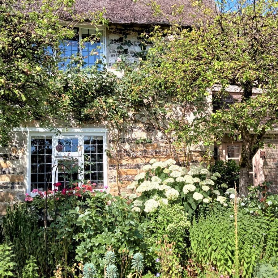 Tudor Cottage B&B Frampton ดอร์เชสเตอร์ ภายนอก รูปภาพ