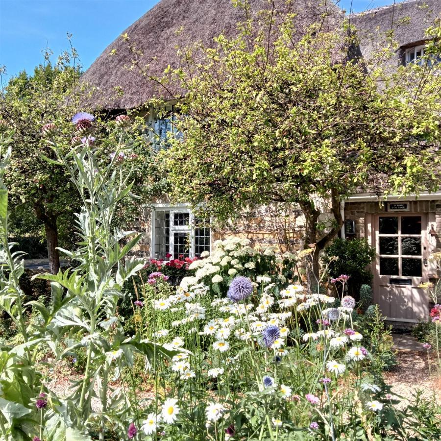 Tudor Cottage B&B Frampton ดอร์เชสเตอร์ ภายนอก รูปภาพ