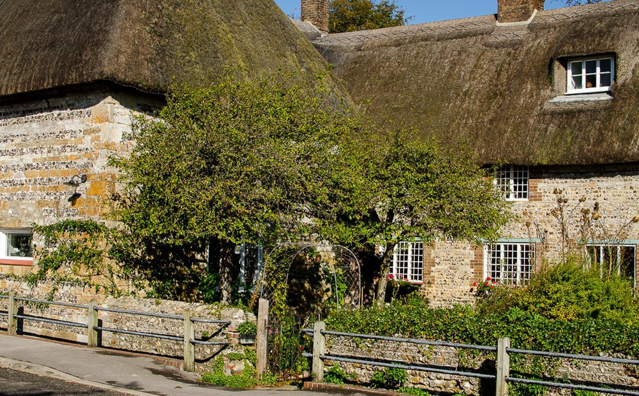 Tudor Cottage B&B Frampton ดอร์เชสเตอร์ ภายนอก รูปภาพ